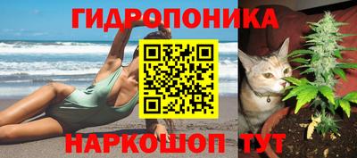 дмт Апшеронск