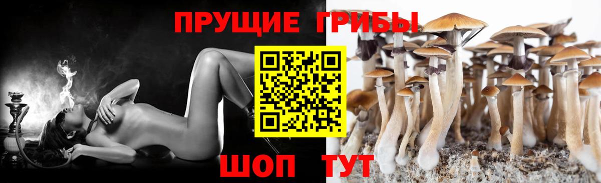 Апрелевка  Псилоцибиновые грибы Psilocybe  наркотики  Вход с VPN 